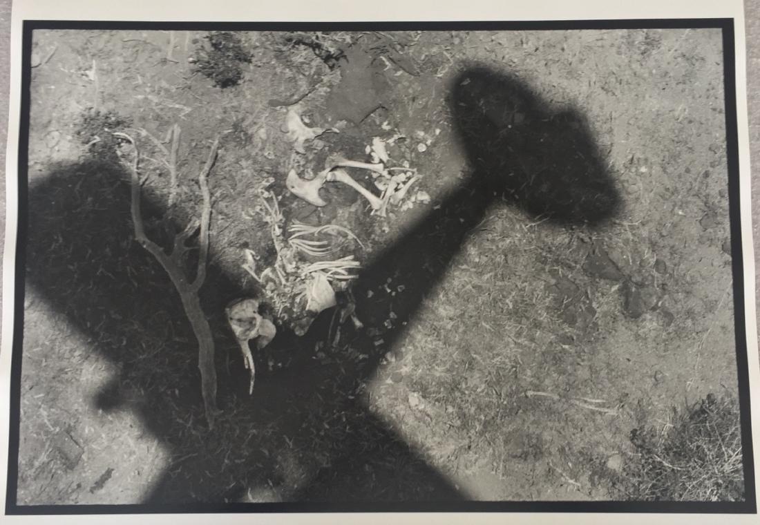 After Peter Beard Photo Untitled (Machine in the: Artist: After Peter Beard - American, b. 1938 Title, Year: Untitled (Machine in the Garden, Tsavo) Medium: Black and white photographic print Dimensions: Image size: 13.25" H x 19.25" W Sheet size: 15