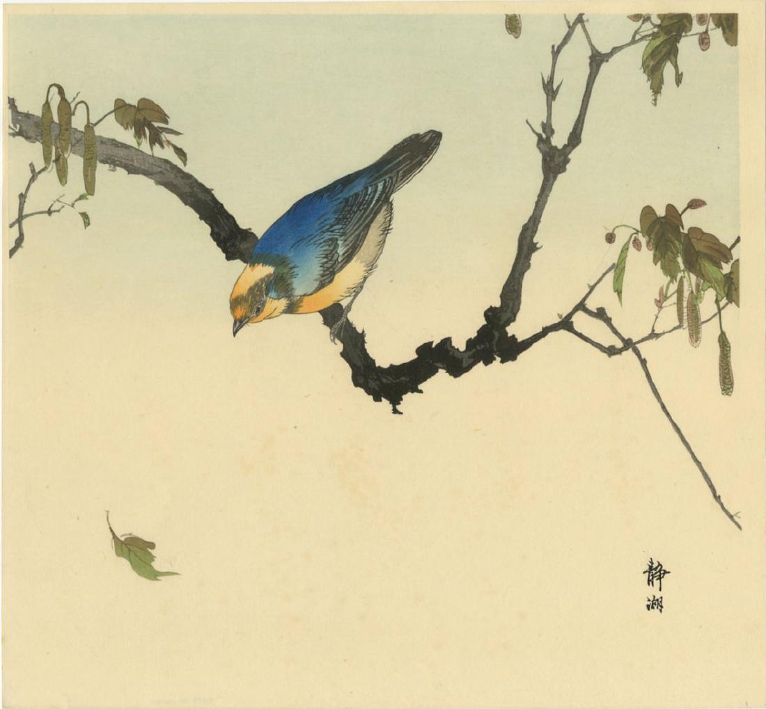 Seiko Okuhara Woodblock Varied Tit About to Take Flight: Artist: Seiko Okuhara Title: Varied Tit About to Take Flight Publisher: Kawaguchi Date: 1930s Medium: Japanese woodblock print Size: shikishi, 11.25 x 11 inches Provenance: from the Robert O. Muller e