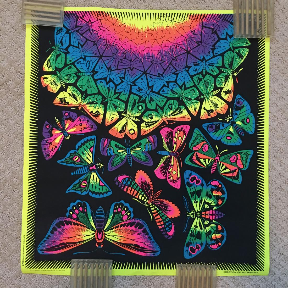 RARE - Butterflies - 1970’s - Personality Posters - (1 of 1)