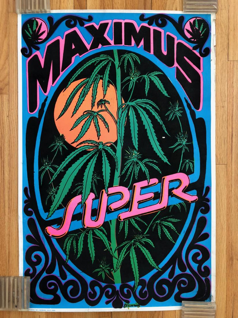 MAXIMUS SUPER BLACKLIGHT POT POSTER (1 of 1)