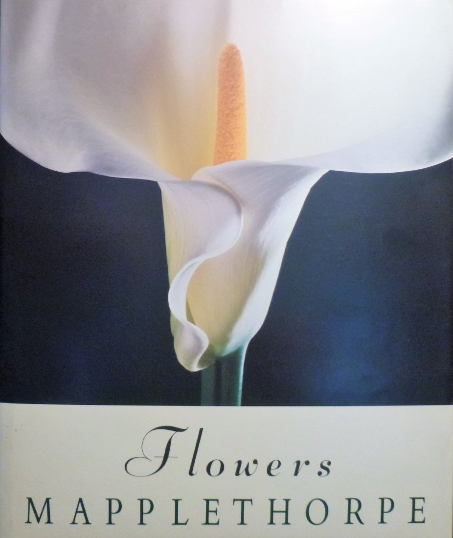 Flowers Robert Mapplethorpe -1st Edition: Flowers Robert Mapplethorpe -1st Edition Patti Smith 1990, Bulfinch Press NY 1st Edition Monograph Unpaginated (48 pp), 18 illustrations 12 color tipped-in plates. This book is exquisitely designed an