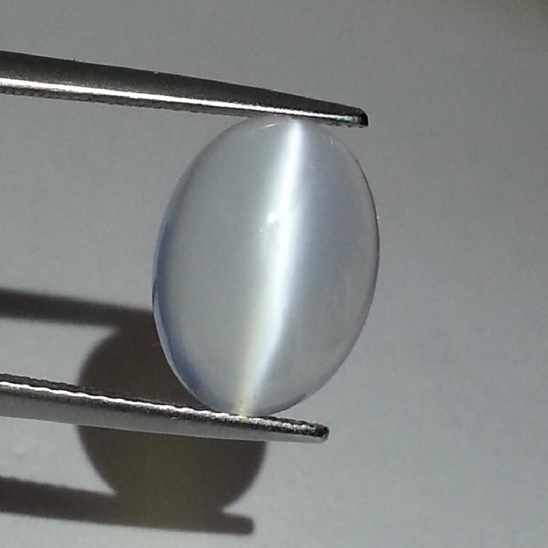Moonstone Cat's Eye - 6.21 ct: Item: Moonstone Cat's Eye - 6.21 ct Loose gemstone Color/Clarity: IF - VVS Carat Weight: 6.21 Size (mm): 14.00 x 10.40 x 5.90 Oval - Srilanka No Reserve: This lot starts at $1 and has no reserve as a
