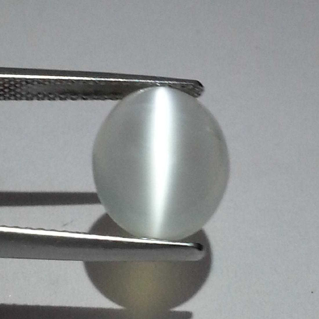 Moonstone Cat's Eye - 7.28 ct: Item: Moonstone Cat's Eye - 7.28 ct Loose gemstone Color/Clarity: IF - VVS Carat Weight: 7.28 Size (mm): 12.75 x 10.30 x 8.10 Oval - Srilanka No Reserve: This lot starts at $1 and has no reserve as a