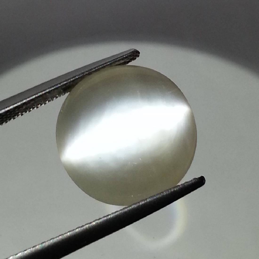 Moonstone Cat's Eye - 10.41 ct (1 of 4)