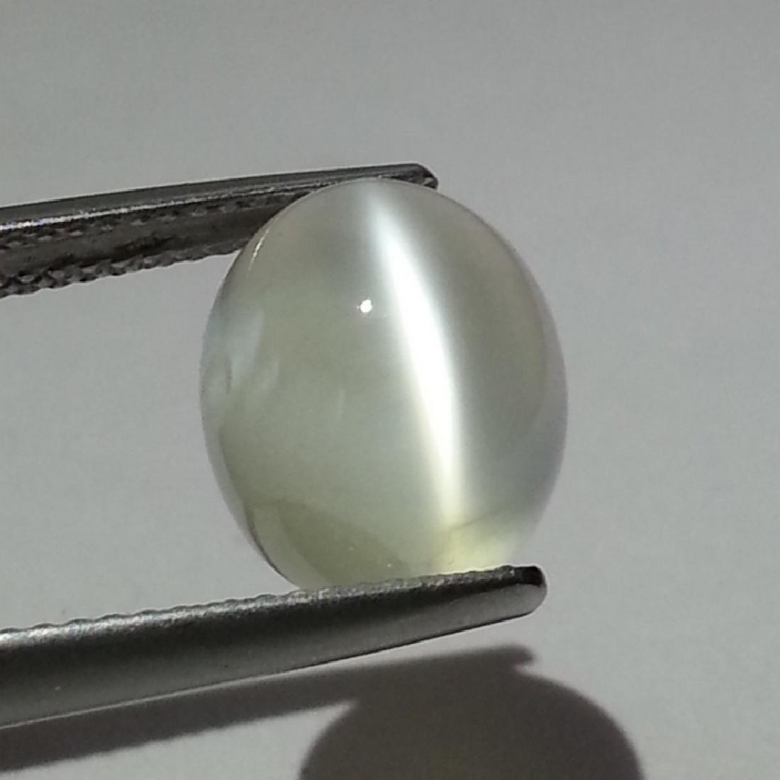 Moonstone Cat's Eye - 6.34 ct: Item: Moonstone Cat's Eye - 6.34 ct Loose gemstone Color/Clarity: IF - VVS Carat Weight: 6.34 Size (mm): 12.20 x 10.30 x 7.40 Oval - Srilanka No Reserve: This lot starts at $1 and has no reserve as a