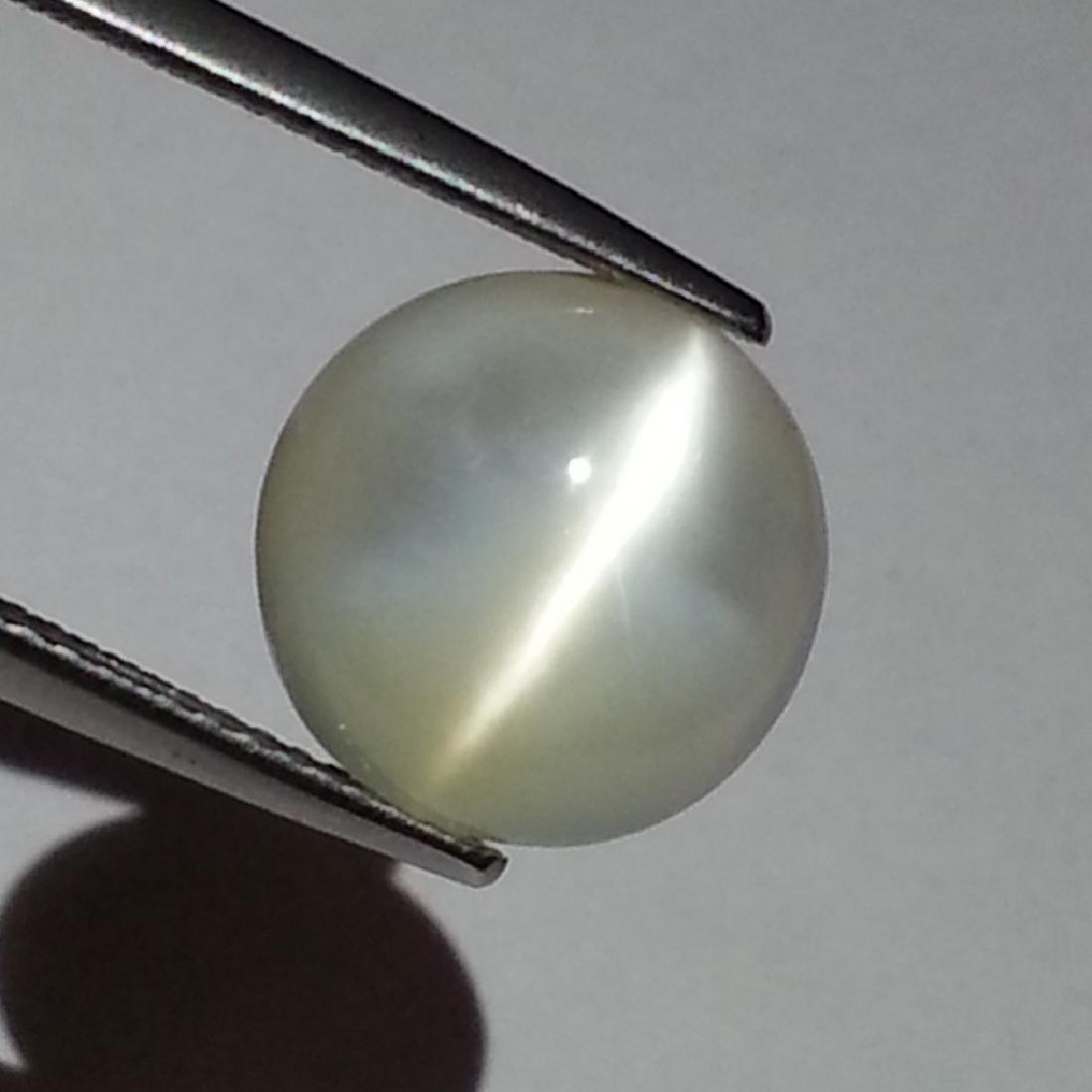 Moonstone Cat's Eye - 5.38 ct: Item: Moonstone Cat's Eye - 5.38 ct Loose gemstone Color/Clarity: IF - VVS Carat Weight: 5.38 Size (mm): 11.80 x 11.80 x 6.00 Round - Srilanka No Reserve: This lot starts at $1 and has no reserve as a