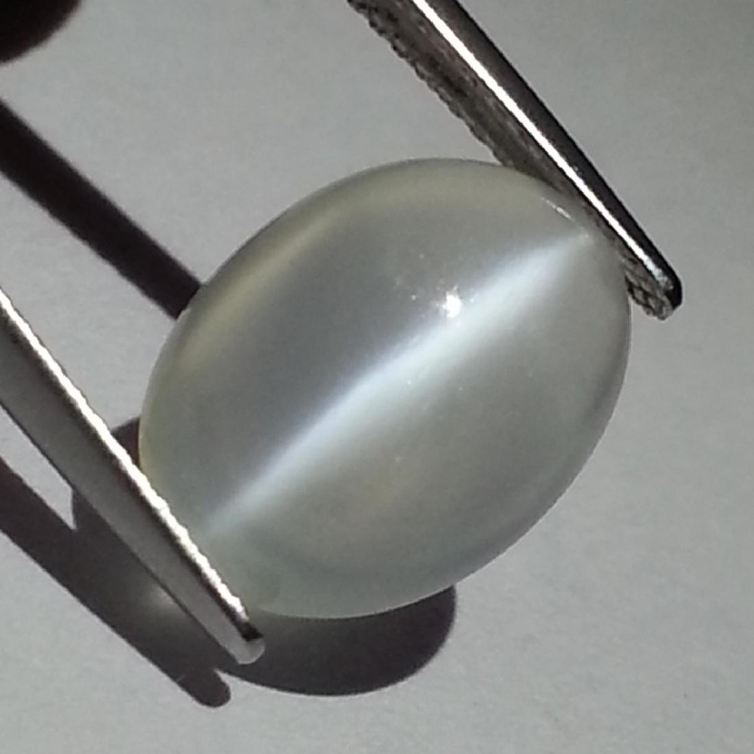 Moonstone Cat's Eye - 5.84 ct: Item: Moonstone Cat's Eye - 5.84 ct Loose gemstone Color/Clarity: IF - VVS Carat Weight: 5.84 Size (mm): 5.84 x 10.90 x 6.70 Oval - Srilanka No Reserve: This lot starts at $1 and has no reserve as a c