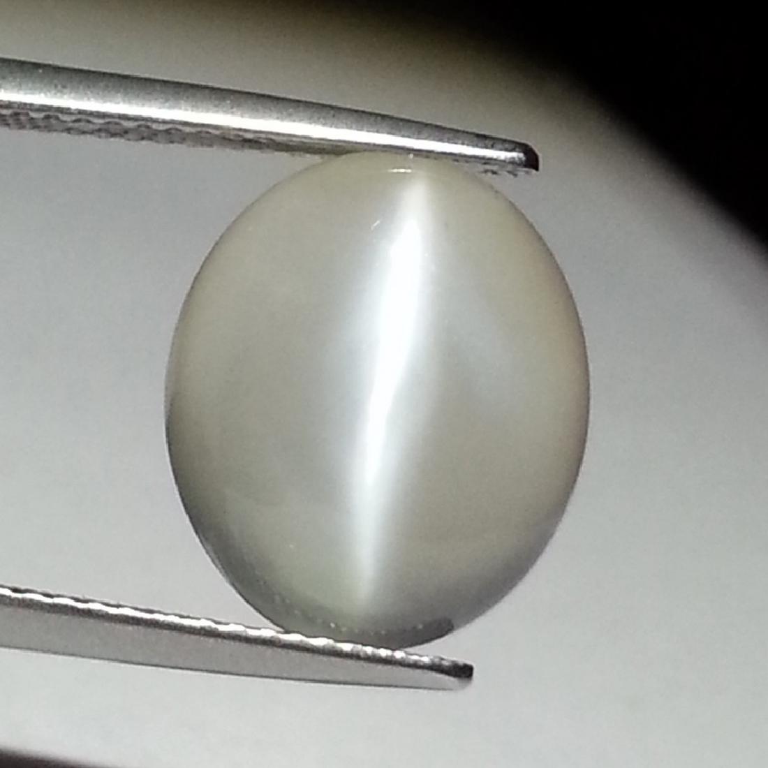 Moonstone Cat's Eye - 7.28 ct: Item: Moonstone Cat's Eye - 7.28 ct Loose gemstone Color/Clarity: IF - VVS Carat Weight: 7.28 Size (mm): 15.00 x 12.70 x 6.50 Oval - Srilanka No Reserve: This lot starts at $1 and has no reserve as a