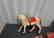 Steha Alles Aus Gum Toy Made in Germany Flocked Horse - 2