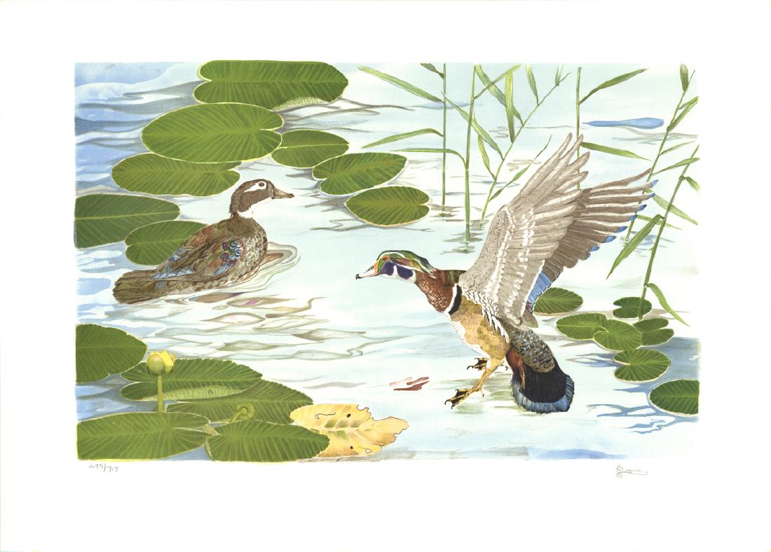 Roger Brown, Ducks: Ducks by Roger Brown, 1976 Signed Lithograph. Paper size is 21 x 29 inches, with an image size of 21 x 29 inches. The Lithograph is from an edition size of 717 and is not framed. The condition was rat