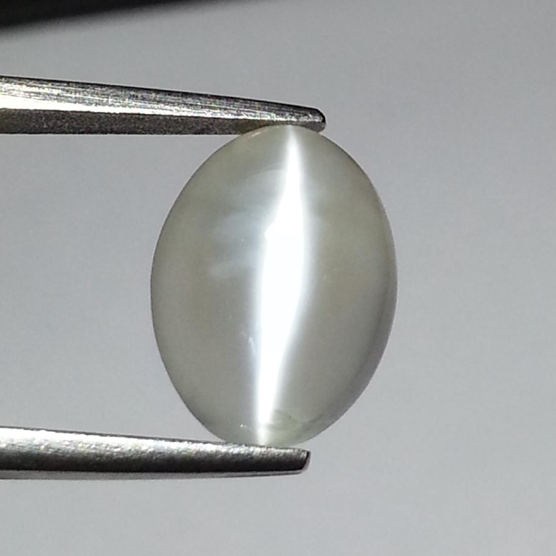 Moonstone Cat's Eye - 4.63 ct (1 of 4)