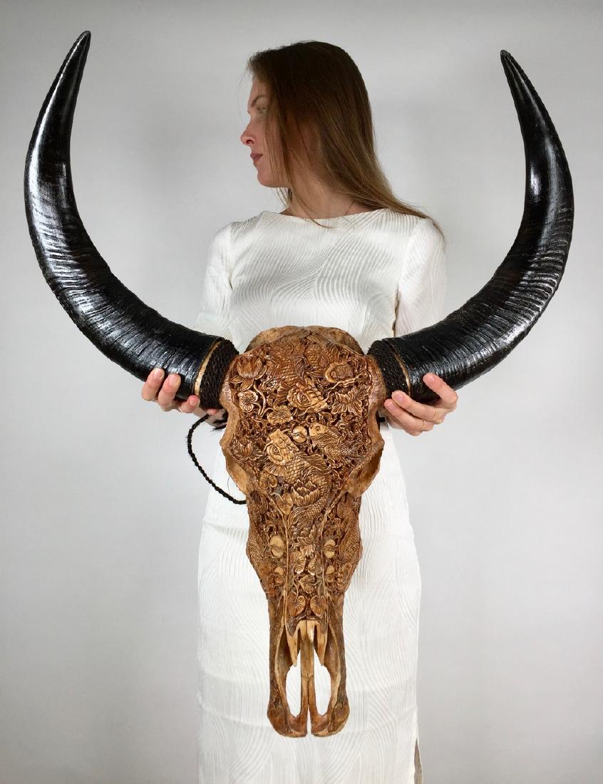 Asian Water Buffalo Skull with Japanese KOI Fish: Title: Asian Water Buffalo skull with fine hand carving of Japanese Koi fish scene Maker: Design: Jake Richmond Origin: Indonesia Date/Period: 2017 Materials: Bone, Horn Dimensions: : Width 72cm / 28.