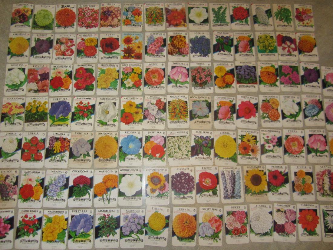 Lot of 100 Different Old Vintage FLOWER SEED PACKETS (1 of 6)