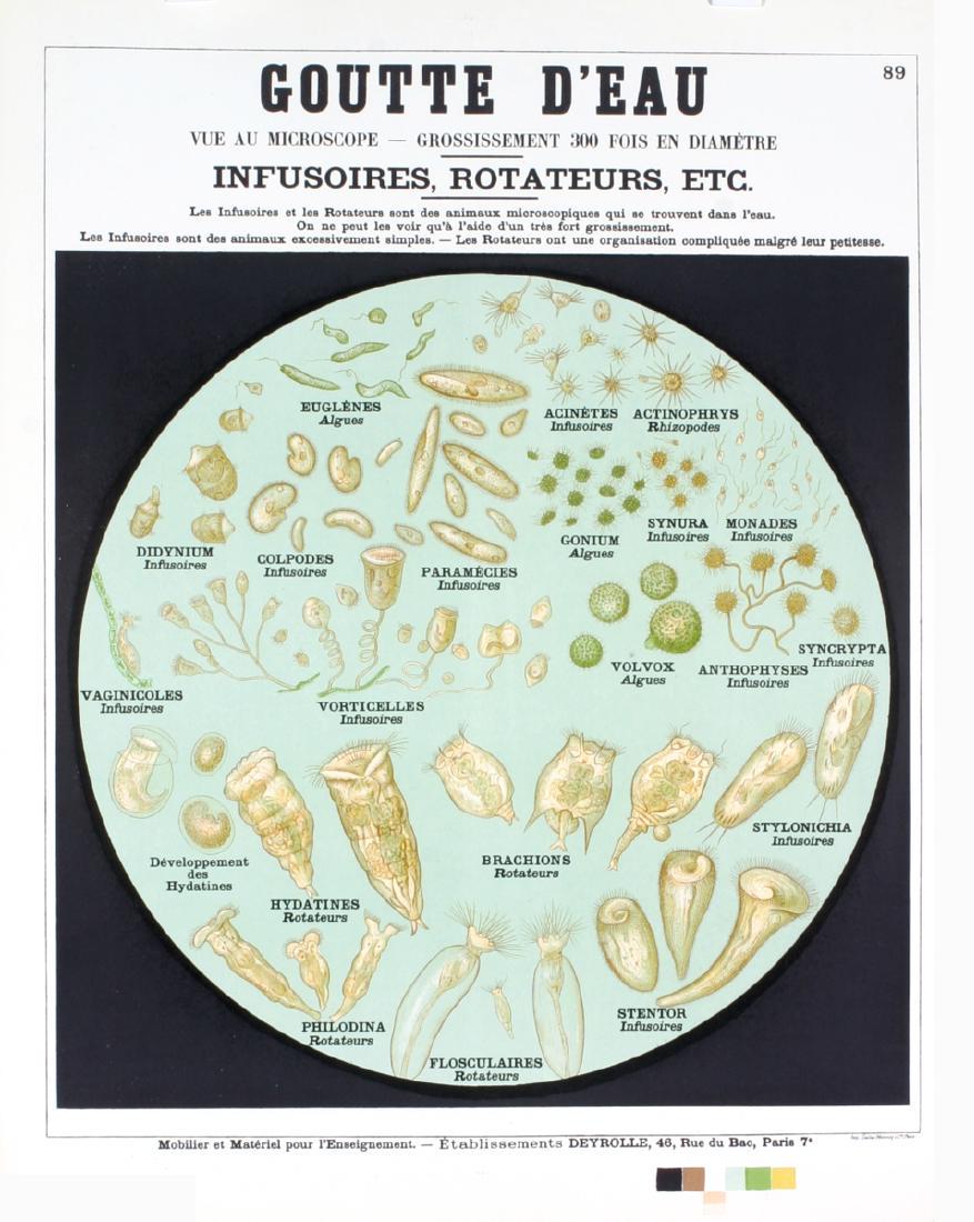 Emile Deyrolle Goutte D'Eau (The Drop) (1 of 1)