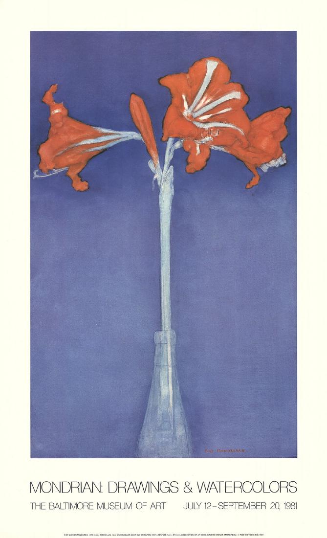 Piet Mondrian - Amaryllis - 1981 (1 of 1)