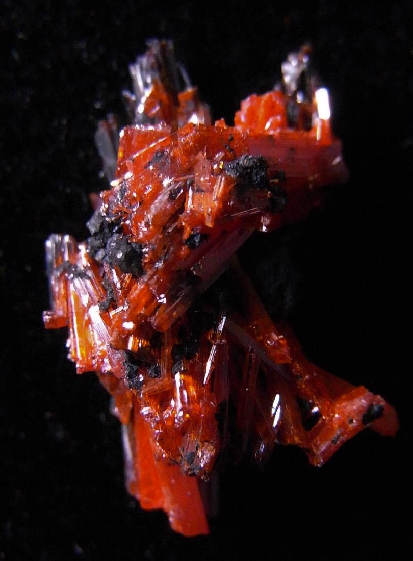 Crocoite: Title: Crocoite Origin: Red Lead Mine, Dundas, Zeehan District, Tasmania, Australia Size: 1.3x0.7x0.3 cm / 0.50 gram small, complex crocoite crystal cluster. Dark red at one site and black on other (d