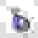 item-62397973=3