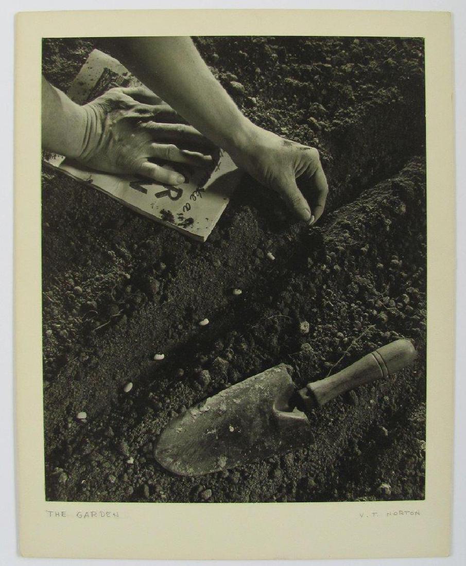 1944 WWII VICTORY GARDEN ART PHOTO by NORTON Evanston (1 of 2)