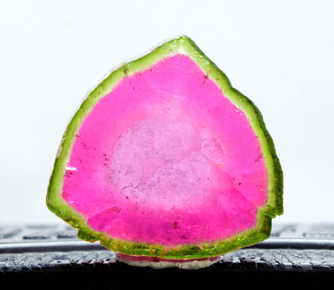 37.25 cts Complete & Undamaged Watermelon Tourmaline (1 of 6)