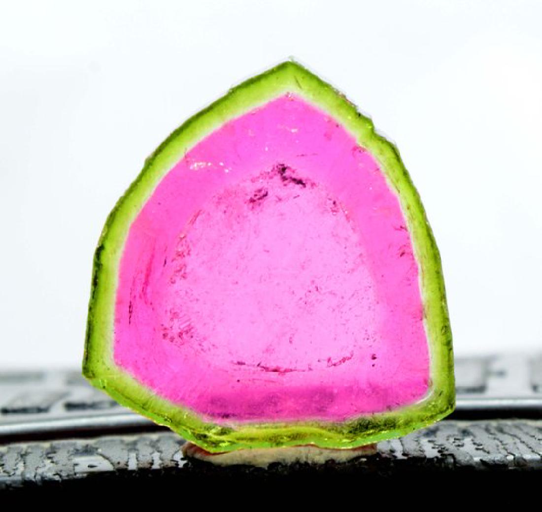 20.95 cts Complete & Undamaged Watermelon Tourmaline (1 of 5)