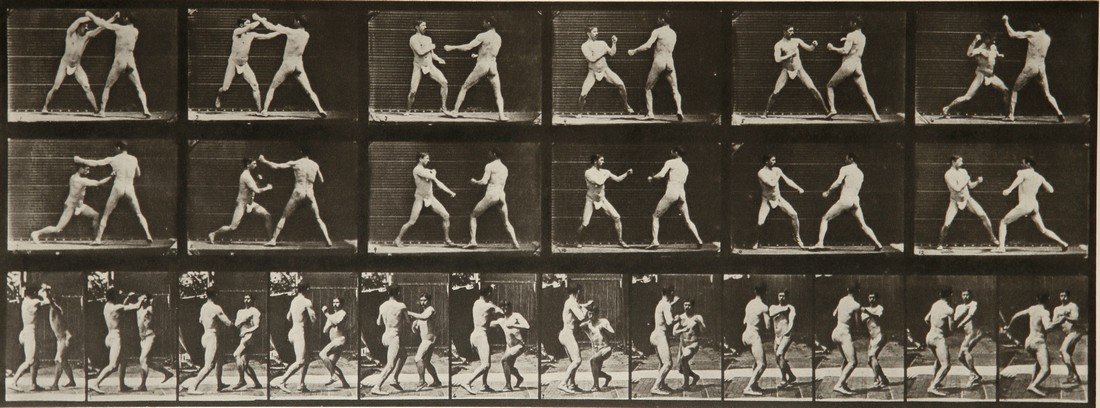 EADWEARD MUYBRIDGE - Animal Locomotion Plate 329: Artist: Eadweard Muybridge Title: Animal Locomotion Plate 329 Date Printed: 1981 Medium: Heliogravure Printer Location: Electa Italy Size: 38x 13.4 cm - 15x5.3 inch, With tissue guard Mount Size: 30x4