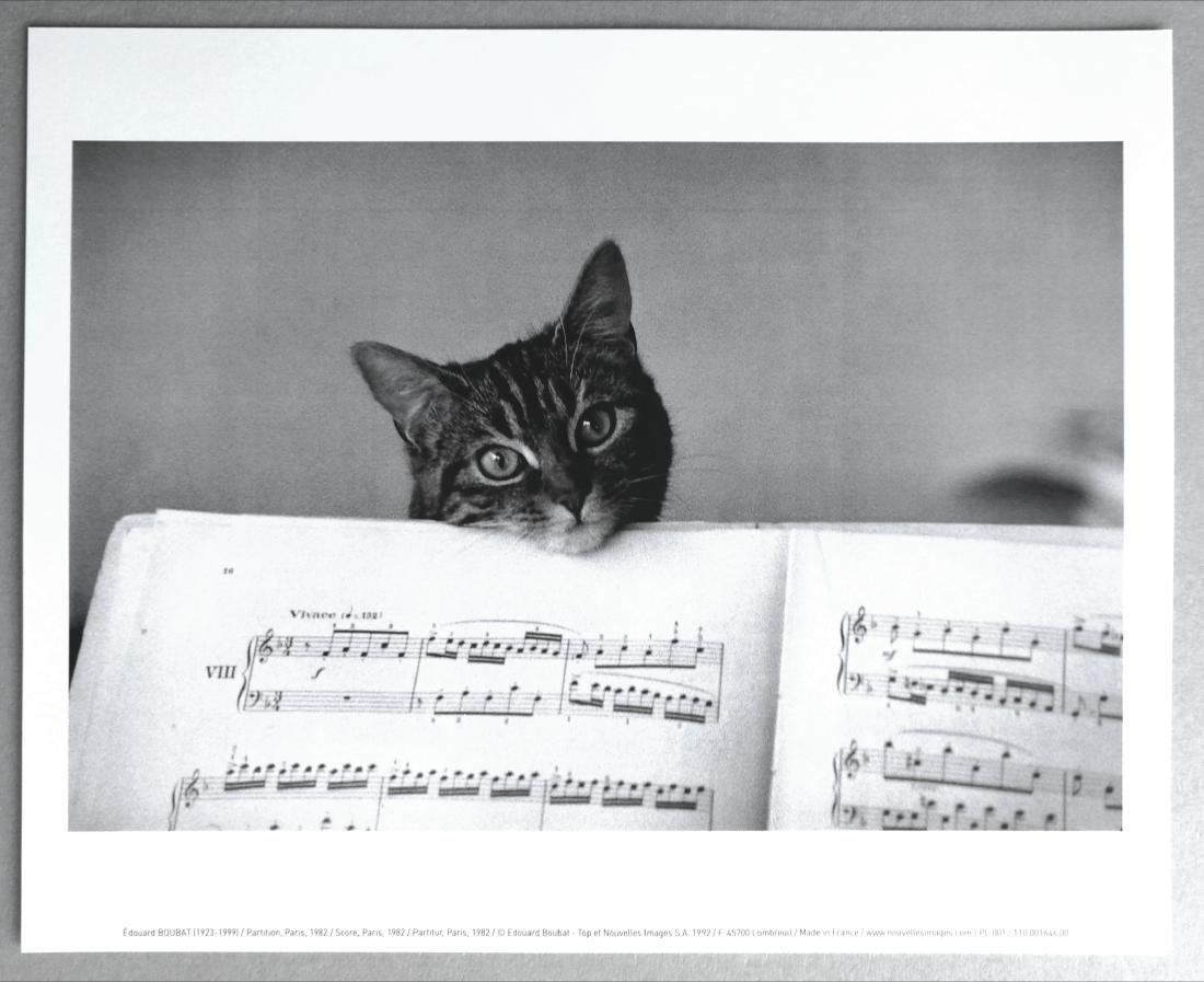 Édouard Boubat Partion, Paris, 1982 (1 of 3)