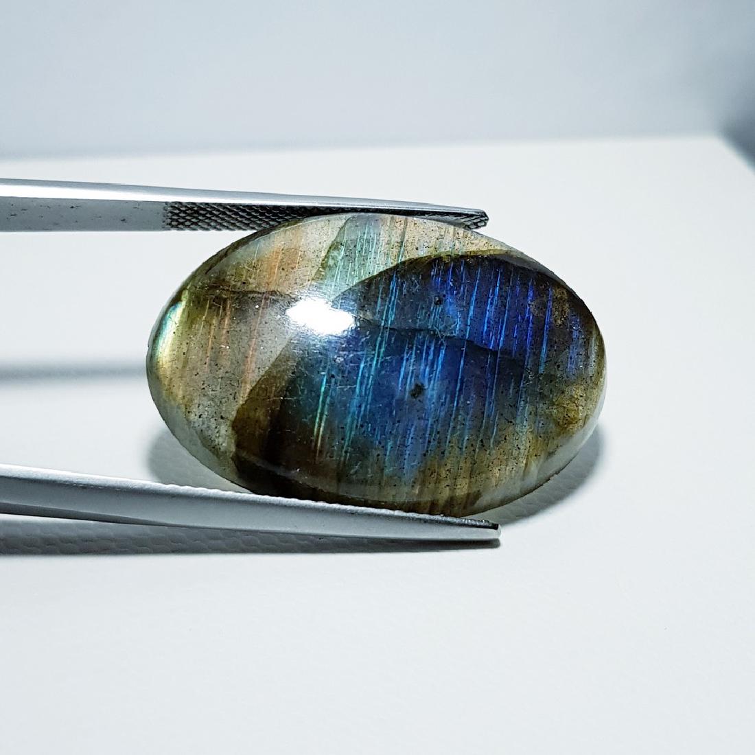 Labradorite - 31.39 ct: Item: Labradorite - 31.39 ct Loose gemstone Color/Clarity: VVS Carat Weights: 31.39 Size (mm): 31.00 x 22.00 x 6.40 Oval - No Reserve: This lot starts at $1 and has no reserve as a courtesy so that co