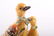 After Fabergé: Mother & Baby Duck Trinketbox - 5