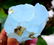 236 Gram terminated & Undamaged Natural Aquamarine - 3