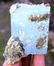 205 Gram terminated & Undamaged Natural Aquamarine with - 5