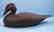 Scoter Duck Decoy Gus Wilson Style by Frank Finney