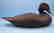 Scoter Duck Decoy Gus Wilson Style by Frank Finney - 6