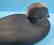 Scoter Duck Decoy Gus Wilson Style by Frank Finney - 8