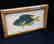 19th C Colored Fish Engraving 19th C Gold Leaf Frame