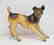 Antique Terrier Dog Cast Iron Doorstop
