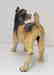 Antique Terrier Dog Cast Iron Doorstop - 5