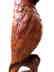 Early Carved Parrot - 3