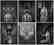 Dominic Rouse Print Vanitas Folio