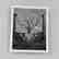 Dominic Rouse Print Vanitas Folio - 7