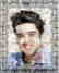 ART GRAFTS Print Elvis, Refraction #4 - 7