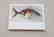 ART GRAFTS Print Surreal Fishions Folio - 7