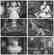 Dominic Rouse Print Surreal Visions Folio