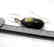 Vintage pendant amulet Baltic amber silver and chain - 2