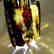 Exclusiwe old Baltic Amber Bracelet 193 gr - 9