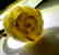 Vintage silver ring white Baltic amber hand carved rose - 9