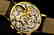 Excellent Zenith Chronograph Gold - 18K - 7