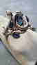 Topaz & Sapphire Serpent Pewter Ring - 2