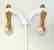 19.2 carats - Gold earrings with Pearl Akoya salt water - 5