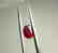 1.90 CARAT CERTIFIED RUBY - 4