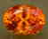 2.60 cts Fanta Color Natural Spessartite Garnet - 2